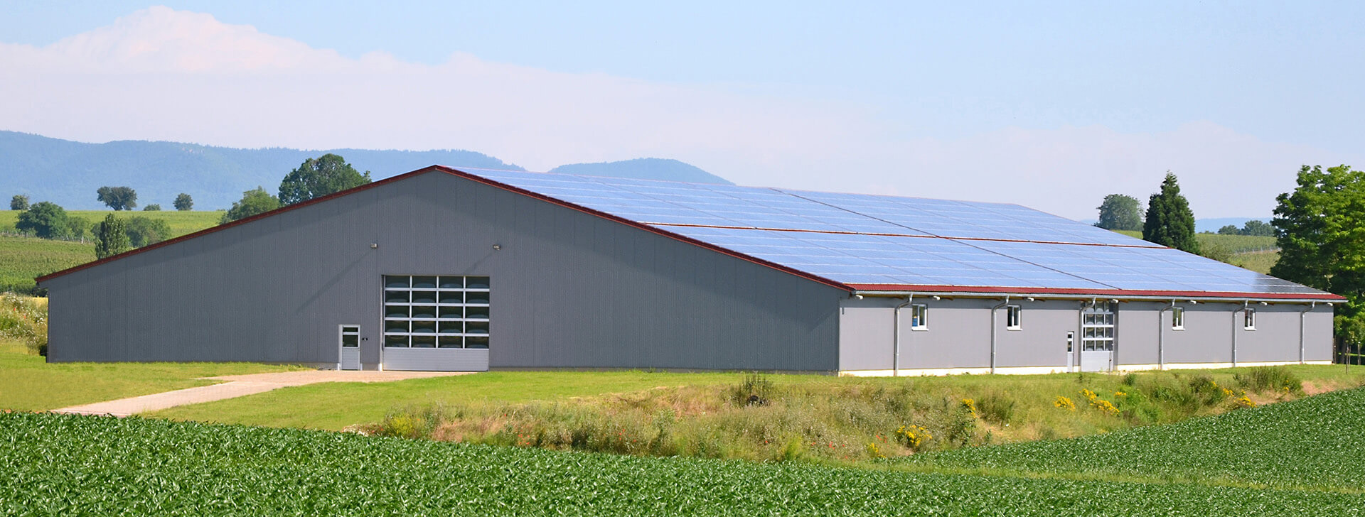 Ангари для агропромисловості - WOLF System