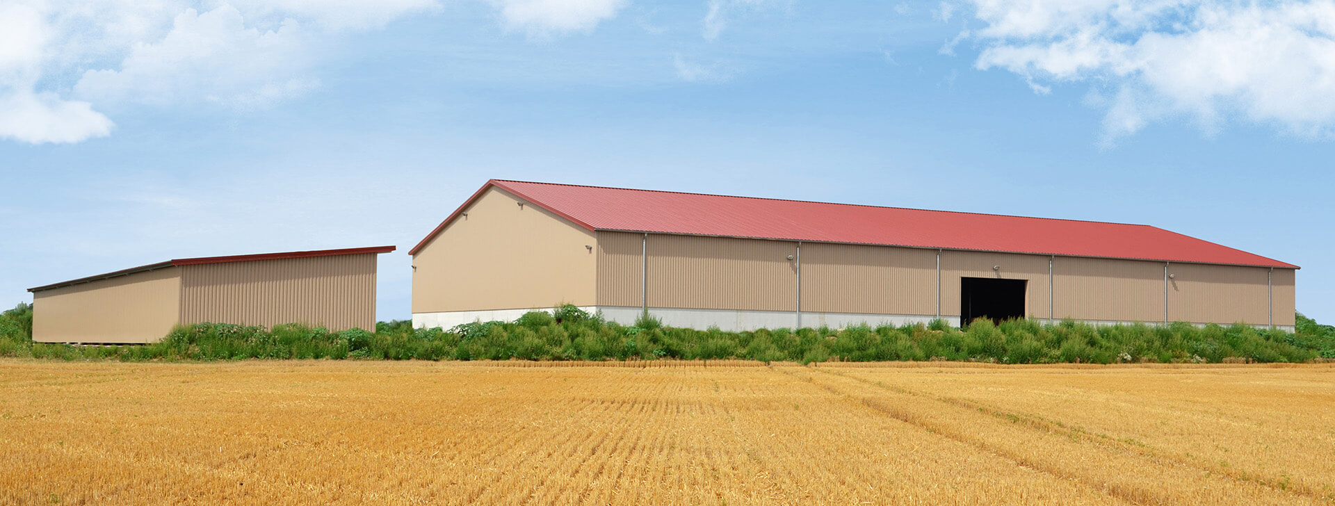 Зерносховища - WOLF System