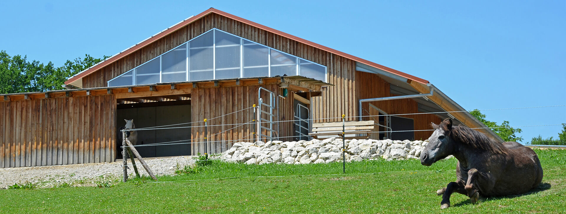 Манеж для верхової їзди - WOLF System