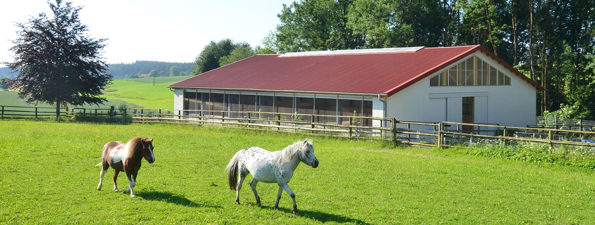Приміщення для коней - WOLF System